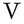 Vittoria Profumi Vittoria Profumi